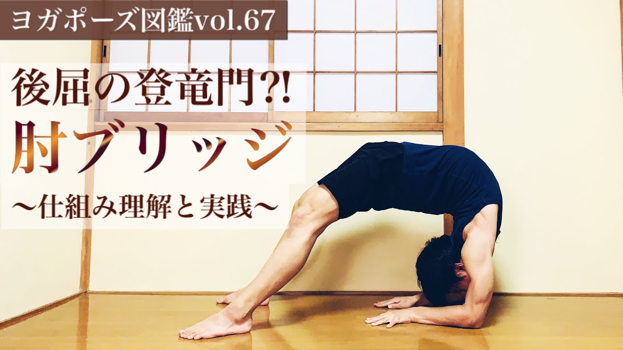 【初中級者向け後屈】肘ブリッジを深めるために必要な練習【ヨガポーズ図鑑vol.67】