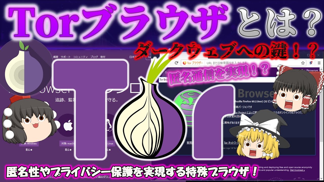 【ダークウェブに入る鍵？】Torブラウザとは？ Torブラウザの仕組みと匿名でネットを見る方法！プライバシー保護と匿名性を実現した特殊ブラウザ No.177
