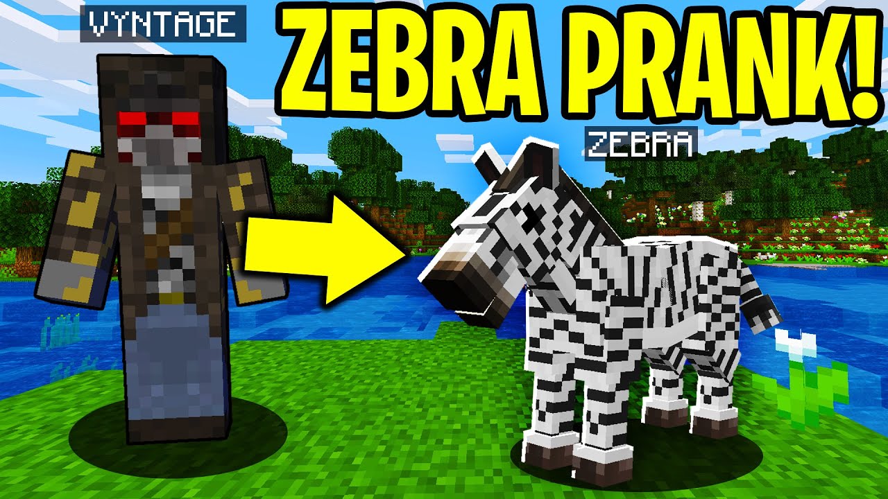 TROLLING AS A ZEBRA IN MINECRAFT!