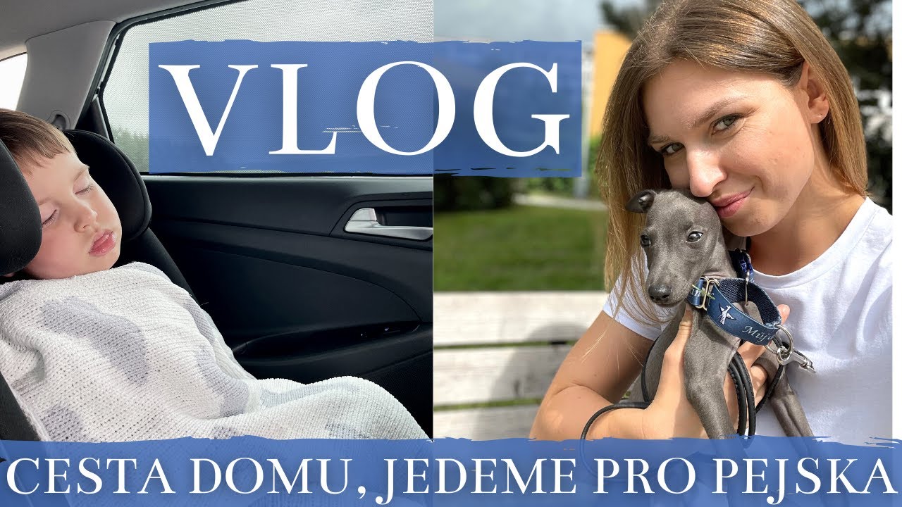 🇮🇹 VLOG cesta domů, JEDEME SI PRO PEJSKA - vlog z cesty It&aacute;lie, m&aacute;me italsk&eacute;ho chrt&iacute;ka, dog haul 🐶