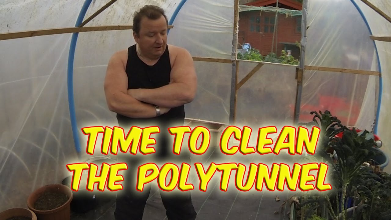 Time To Clean The Polytunnel For This Years Planting