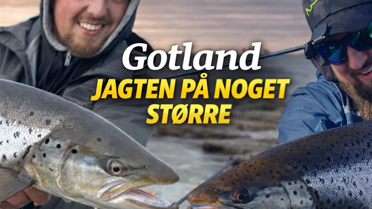 Gotland - jagten p&aring; noget st&oslash;rre