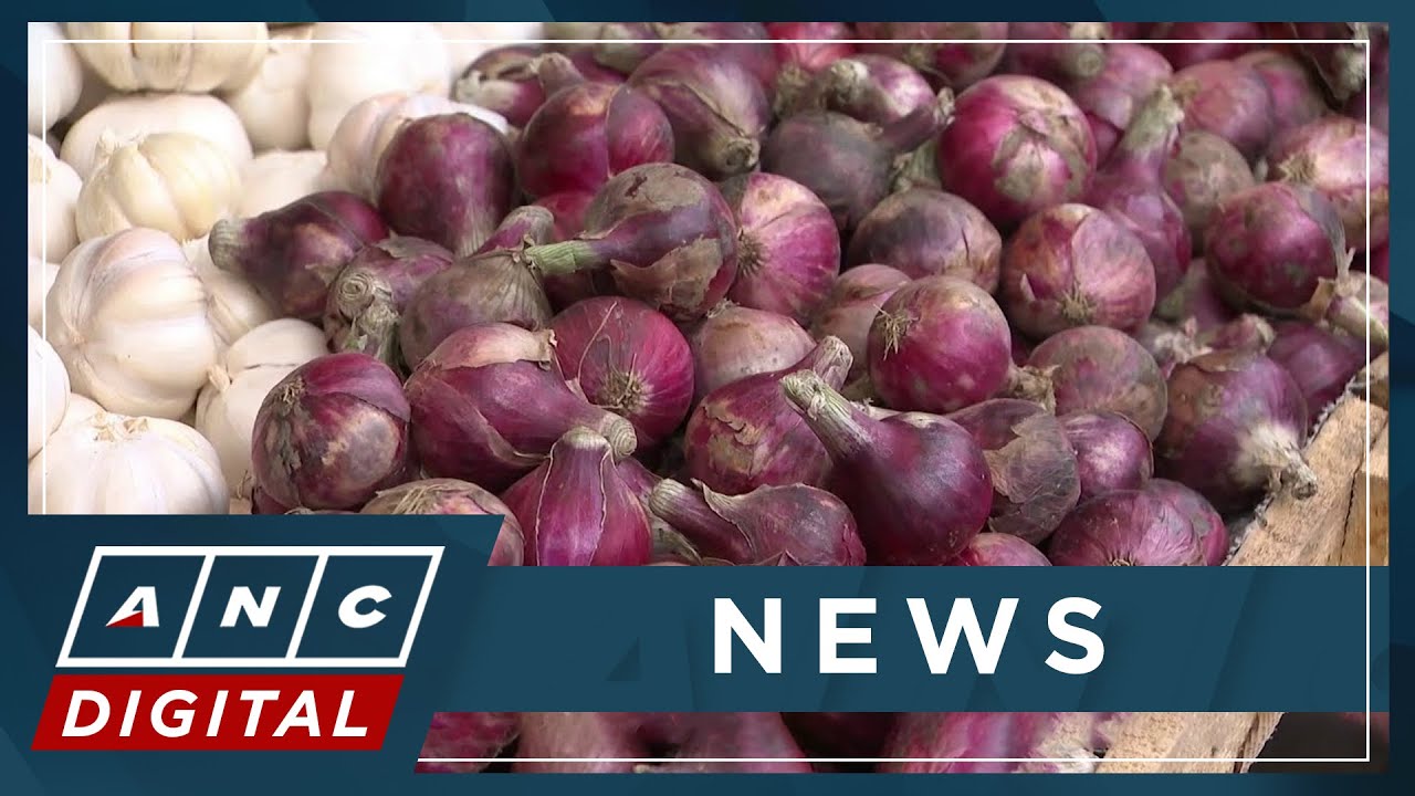 Global onion prices feared to rise after India slaps 40% export tax | ANC