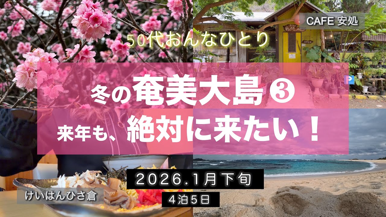【女ひとり旅】冬の奄美大島③まだまだ時間が足りないわ