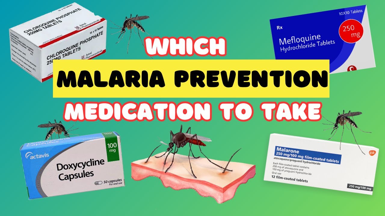 The Best Malaria Tablets For Travel | Malaria Prevention Travel Advice 
