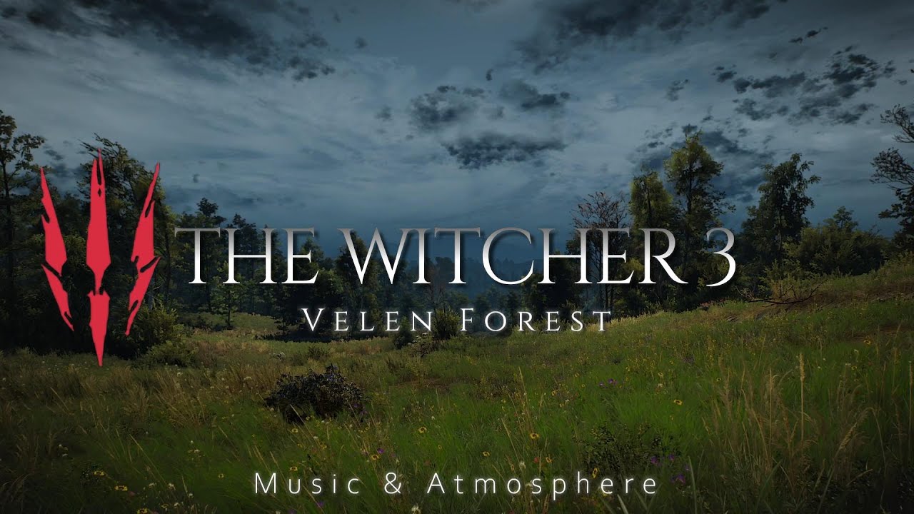 THE WITCHER 3 - Velen Forest | Relaxing Music Atmosphere