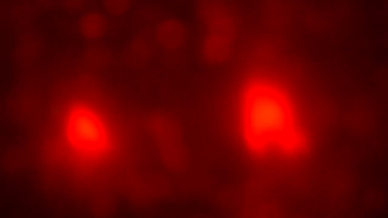 Deep Warm Color Noise + 12Hz Alpha Waves - audio massage - 5+ Hours