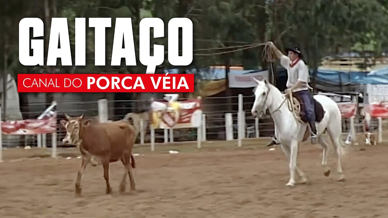 GAITA&Ccedil;O - PORCA V&Eacute;IA [VERS&Atilde;O EXCLUSIVA]
