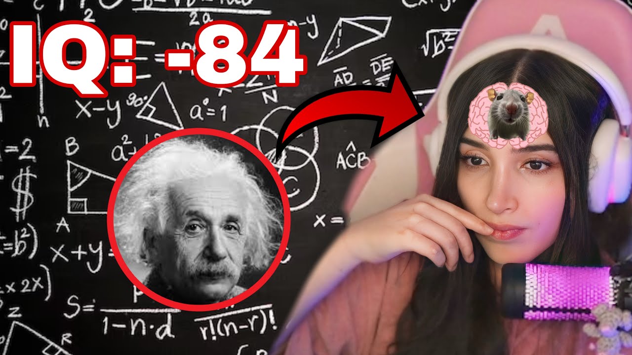 Nezumi Hace Test De Personalidad (Sale Pend*je)