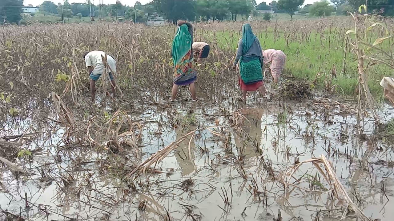 किसान की बुरी हालत 😭😭#villagelife  #dailyvlogs