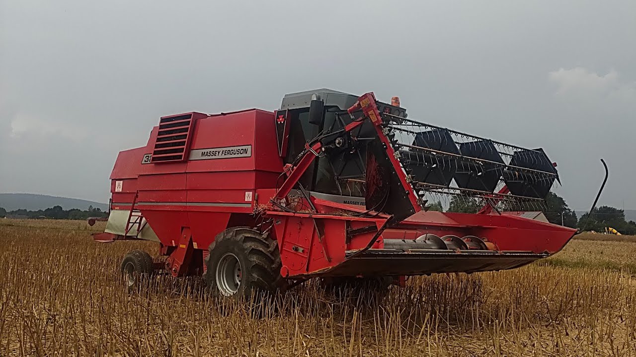 # Koszenie rzepaku 10 i 11 lipiec 2024#massey ferguson 32 🌩️🌧️🚨# świętokrzyskie 💪🚨😁