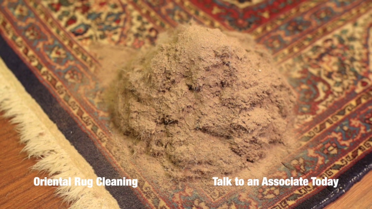 Area Rug Cleaning Process