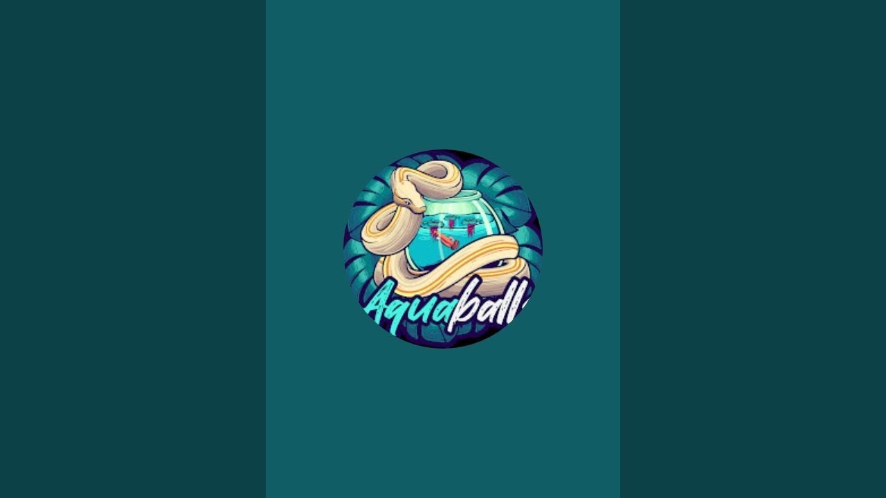 aquaballs is live!