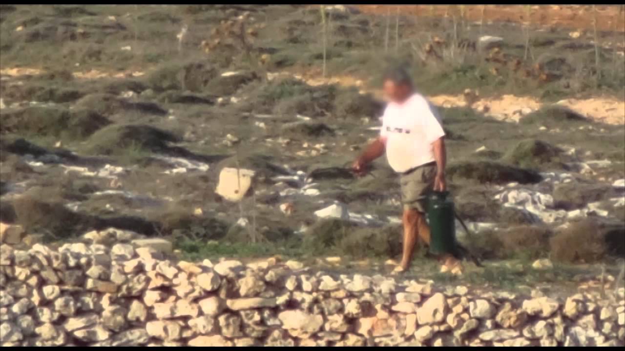 Illegal trapping site in Majjistral Nature and History Park, 30th September 2012