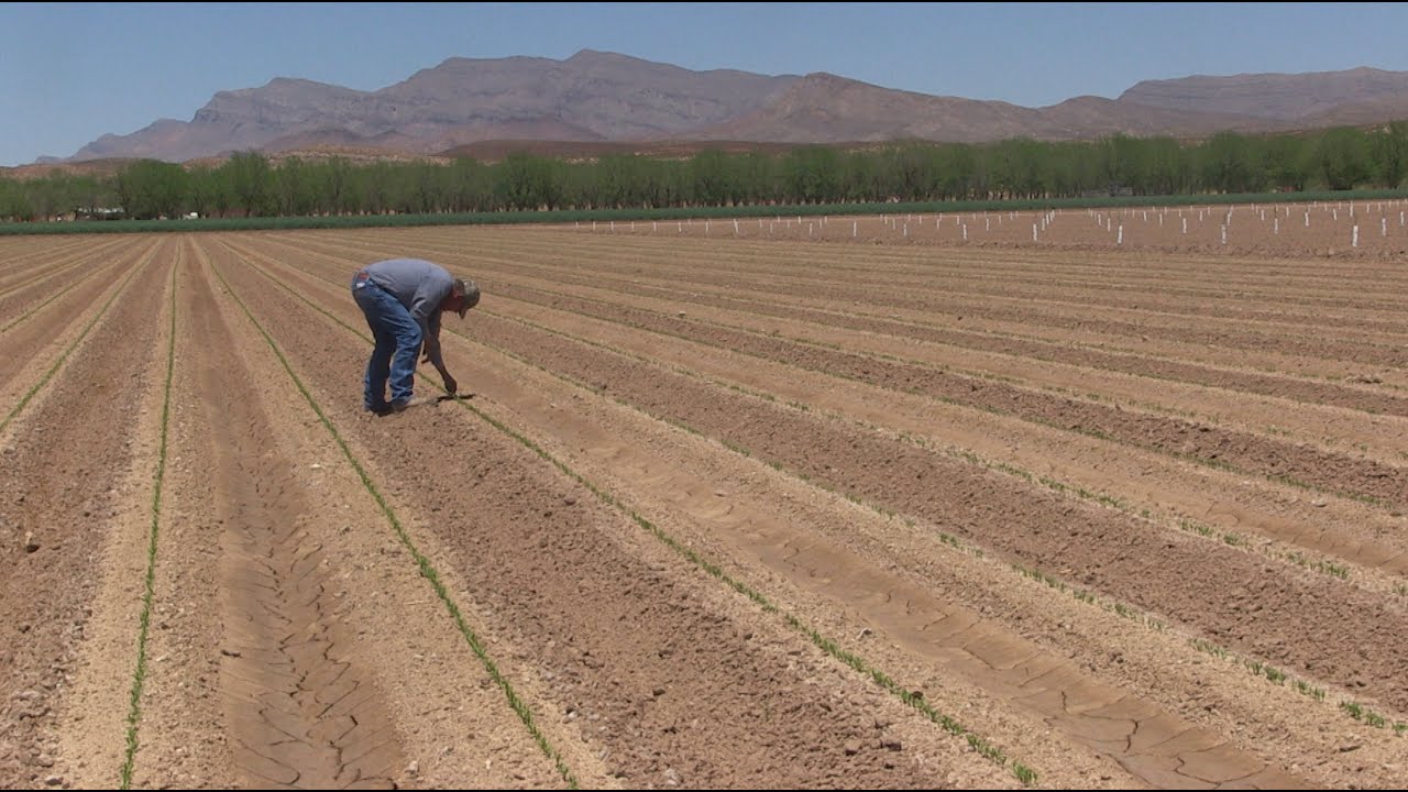 New Mexico Farmers Adapt As Drought Grows Harsher