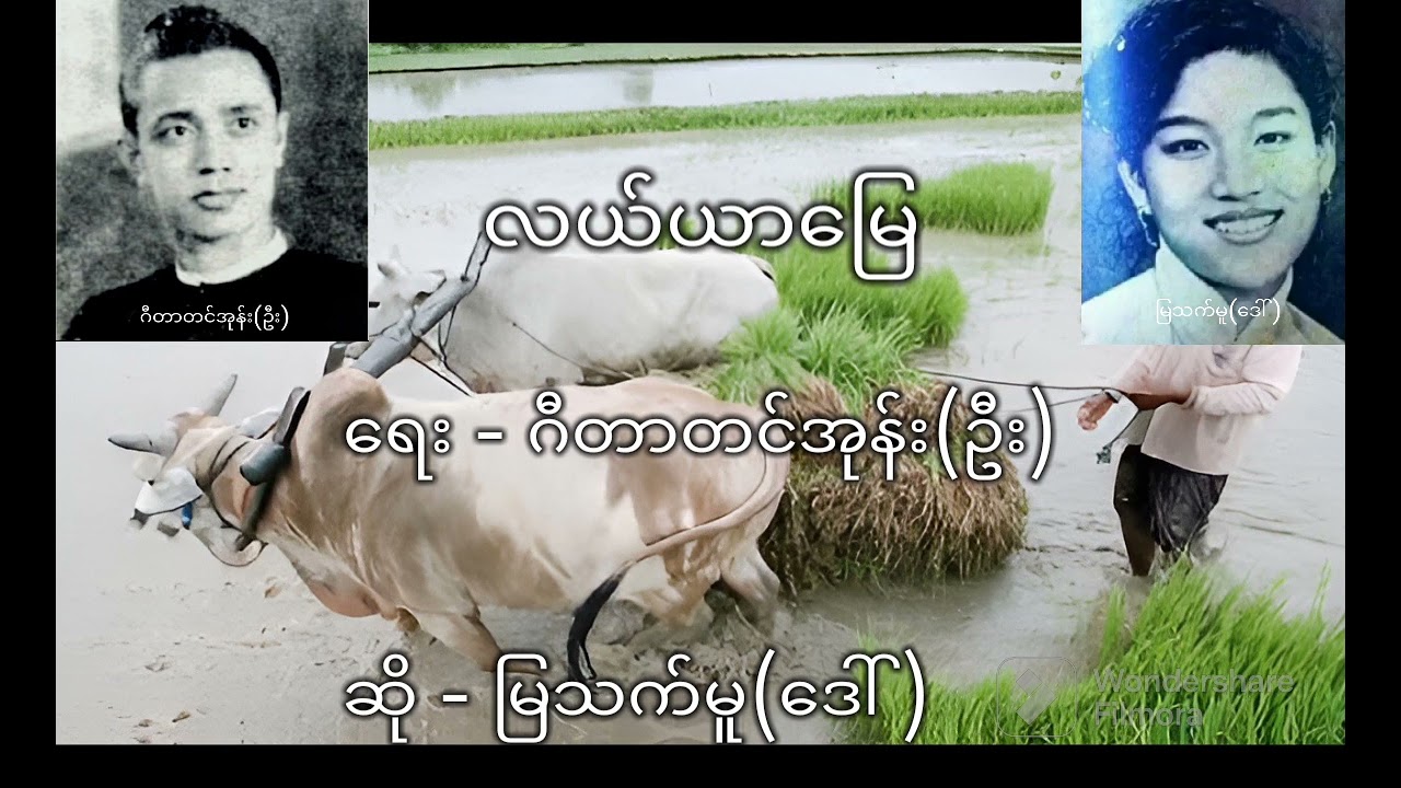 လယ်ယာမြေ #myanmarsong #မြန်မာသီချင်းများ #သီချင်း #သီချင်းကောင်းများ #music #သီချင်းများ