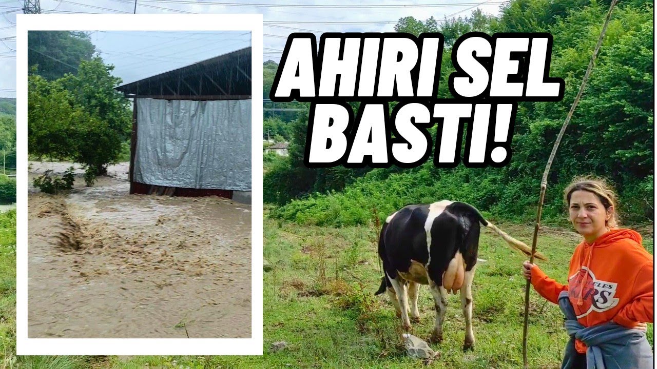 KÖYÜ SEL ALDI! Kayıp Büyük | Şehirden Köye Göç