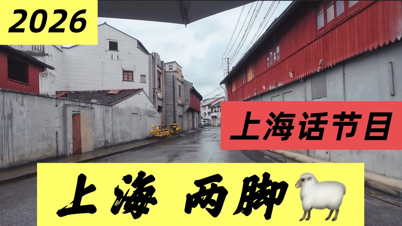 上海的 阿羊们！不知不觉我也早已身在羊群