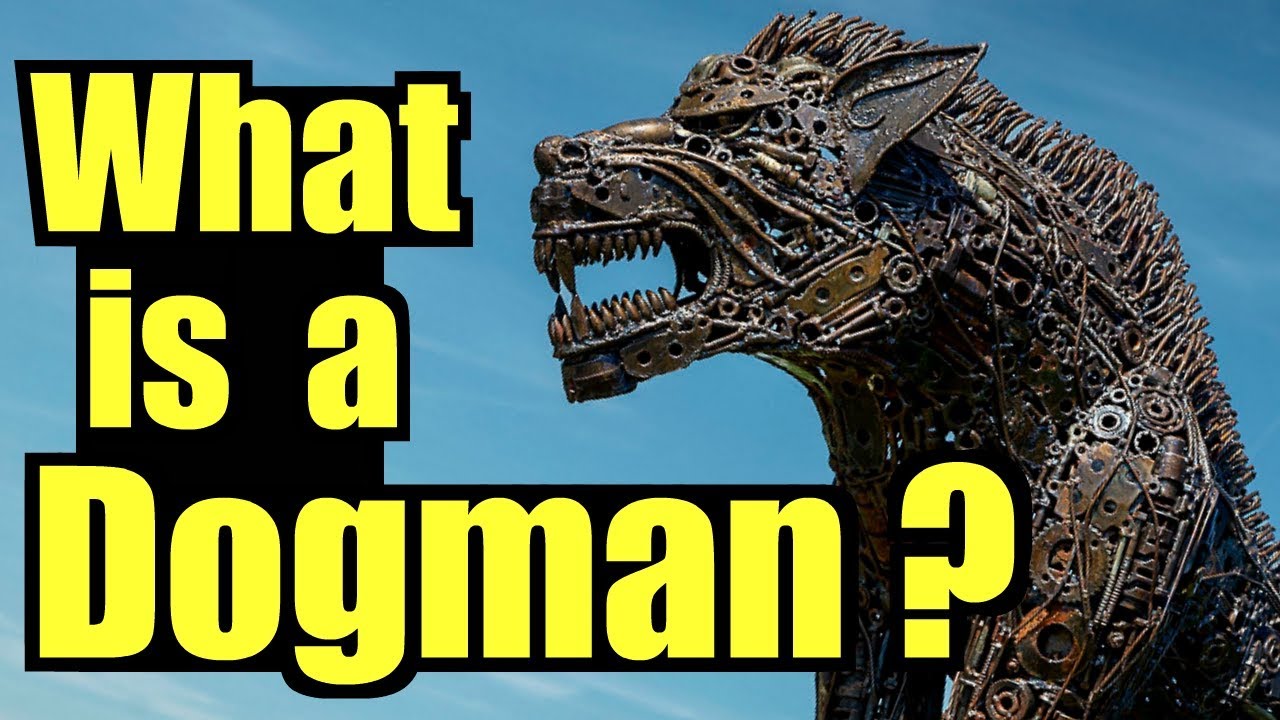 What is a Dogman?