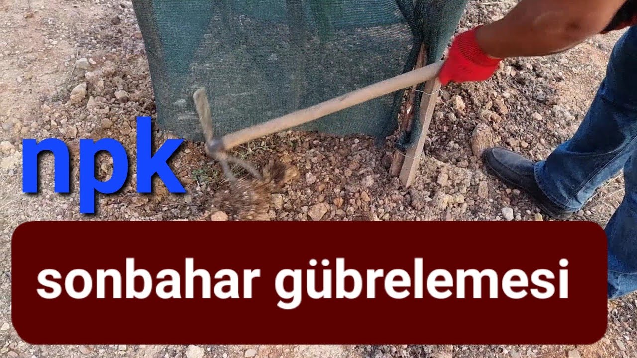 Sonbahar KIŞ Gübrelemesi Nasıl Yapılır? Organemineral NPK Nasıl Kullanılır? #tropikaltopraktv #npk