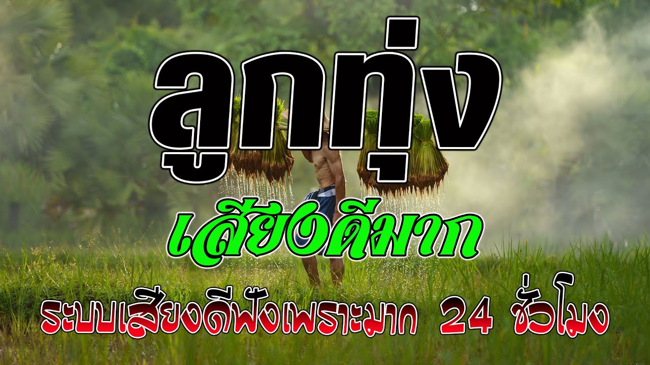 ลูกทุ่งเสียงดีมาก ระบบเสียงดีฟังเพราะมาก คัดพิเศษเพลงลูกทุ่งฟังเพราะ 100% #คัดมาพิเศษ เสียงดี