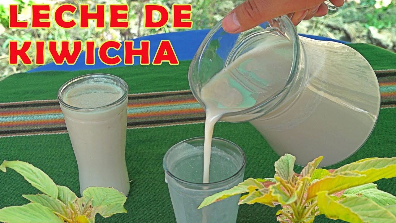 LECHE DE KIWICHA O AMARANTO | SUPER ALIMENTO | GRANOS NUTRITIVOS | COCINA PERUANA | LECHES VEGETALES