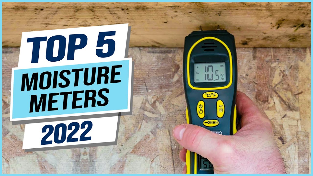 Top 5 Best Moisture Meters 2023