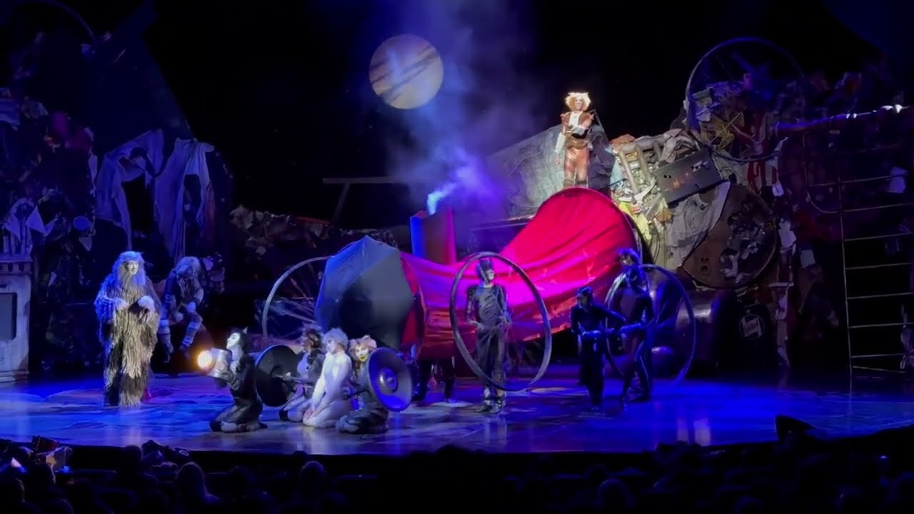 Best Moments Of the show Cats aboard Oasis of the Seas || Shows Part 3 