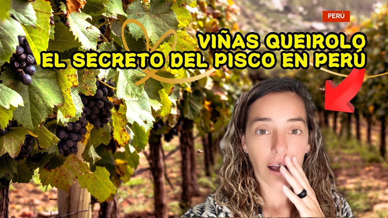Así se Hace el Pisco en Perú 🇵🇪 | Tour en Viñas Queirolo
