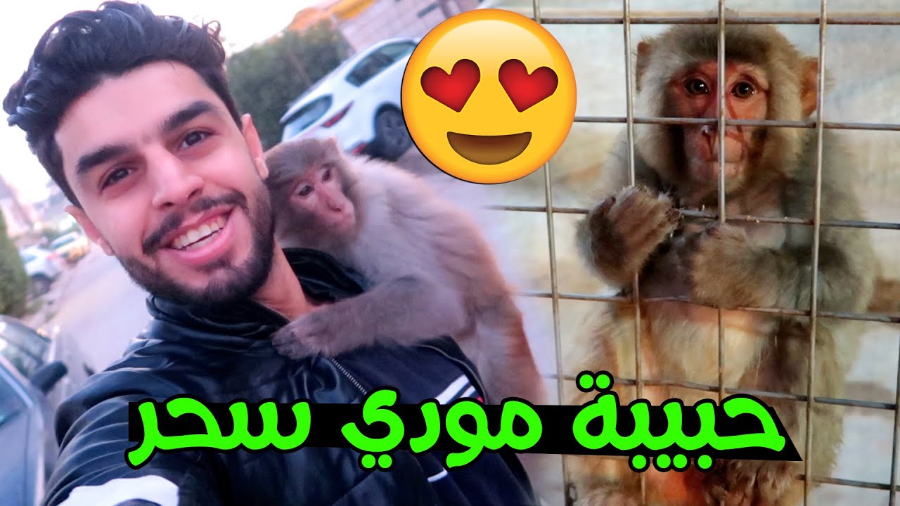 توزيع شدات بوبجي 🤑 #مودي خبل  العالم 🐒😂 فلوك ضحك #عمار ماهر