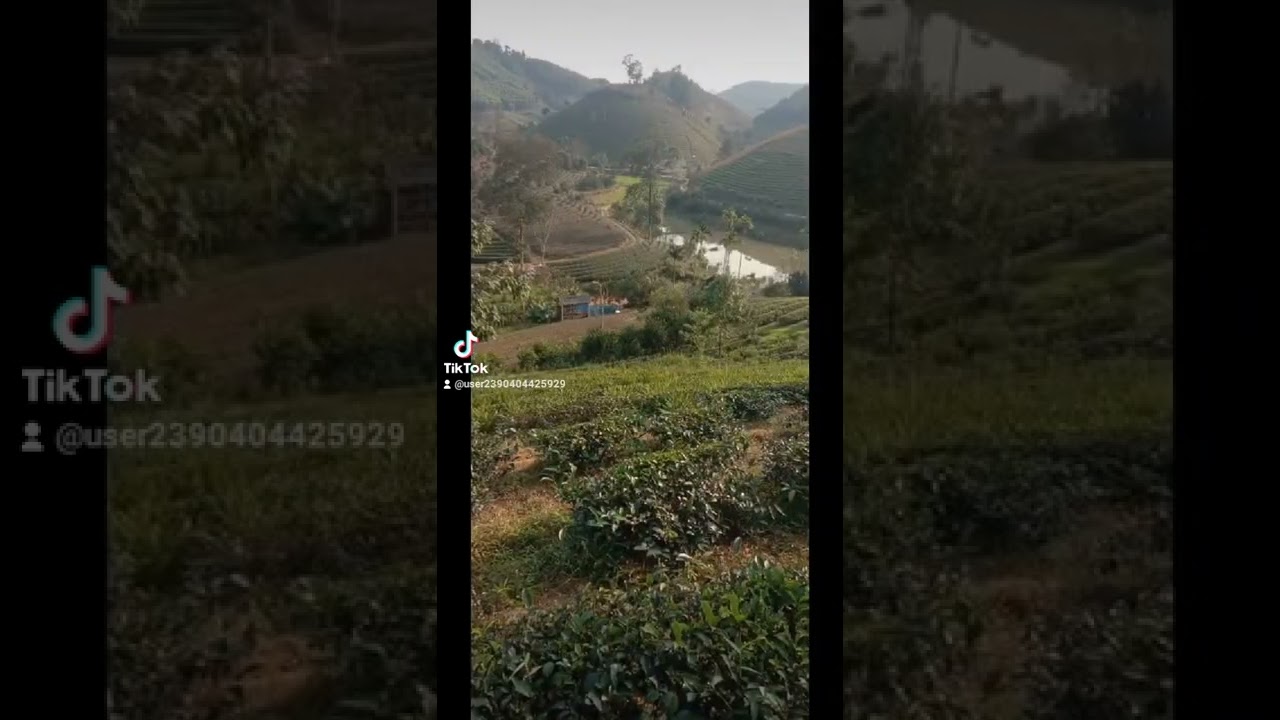 cảnh quê nhà
