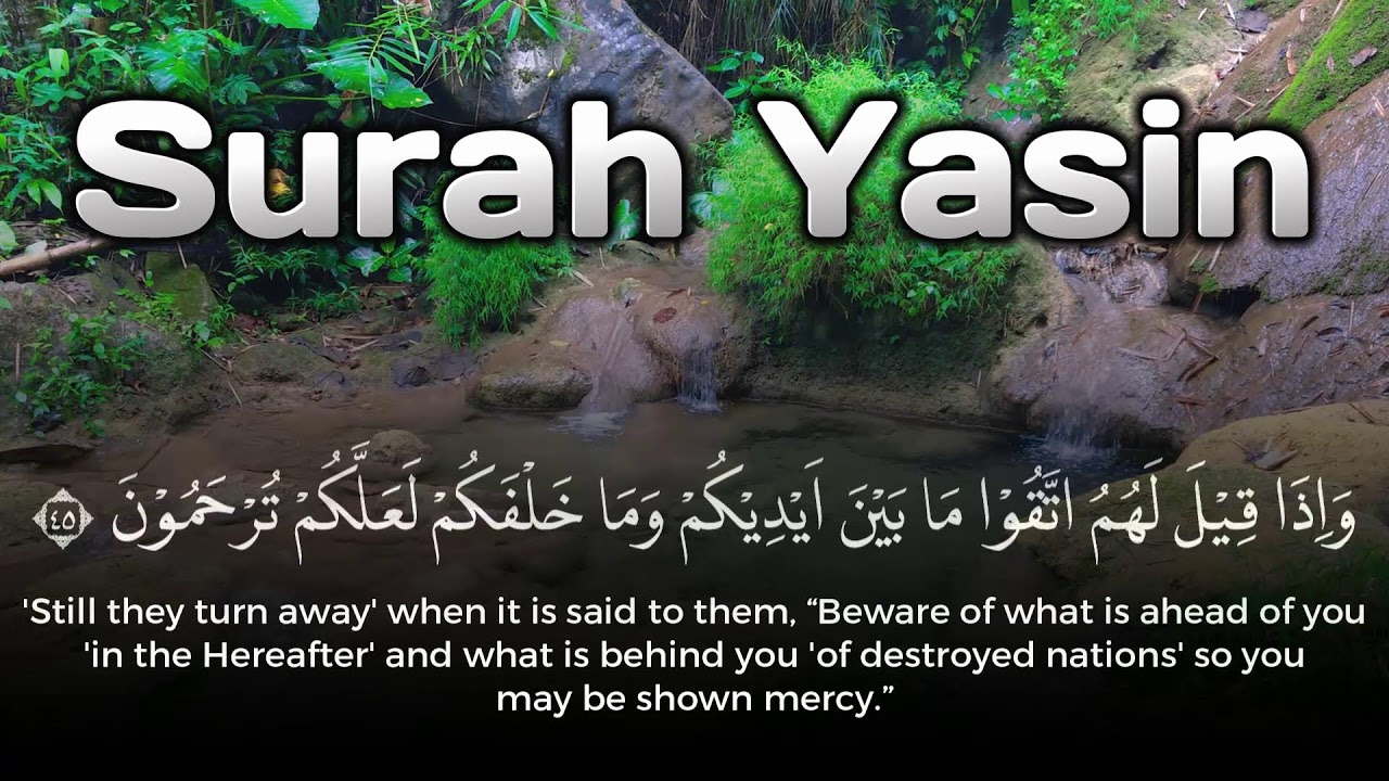 Surah Yasin Murottal Merdu Morning for Forgiveness | Ramadan Special