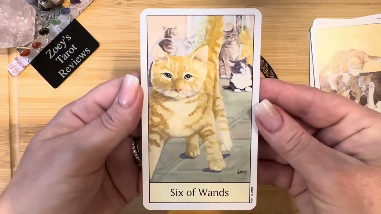 Cat’s Eye Tarot Review and Flip Through, Debra M Givin
