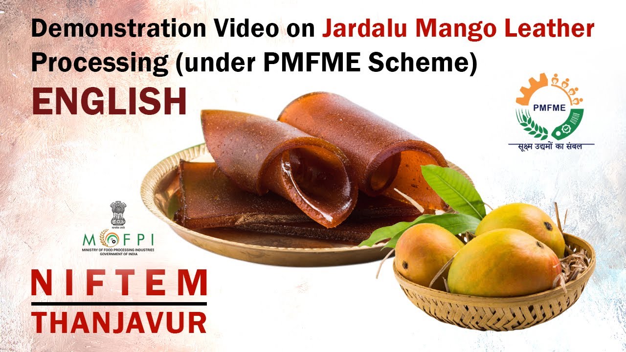 Demonstration Video on Jardalu Mango Leather Processing (under PMFME Scheme) - ENGLISH