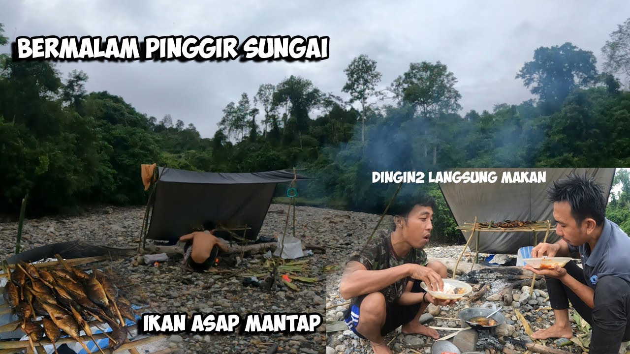 Bermalam Pinggir Sungai Ternyata Lubuk Ini Sarangnya Ikan Nilem Palau | Camp Fishing Overnight