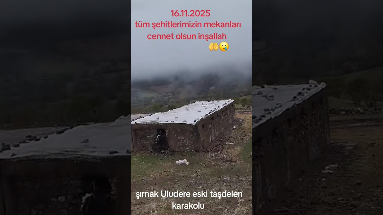 24 Kasım 2025