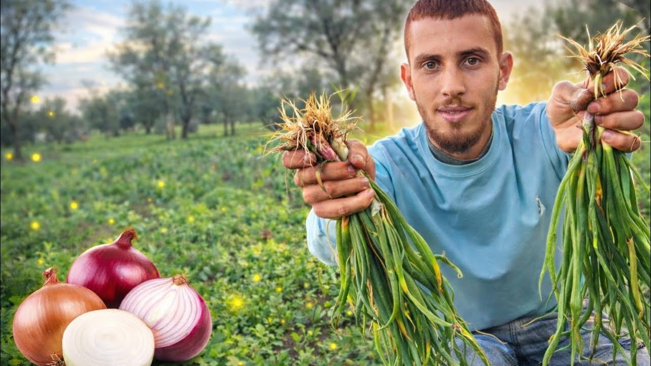 زراعة البصل في البيت بسهولة ونجاح 100% 🧅🌱 (في أصيص أو سطل