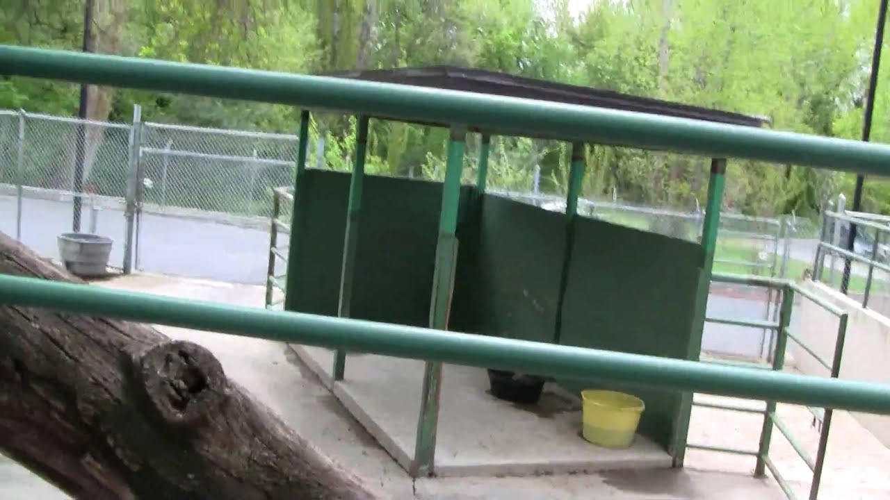 Wild Kingdom Train On-ride (HD POV) Lagoon Park