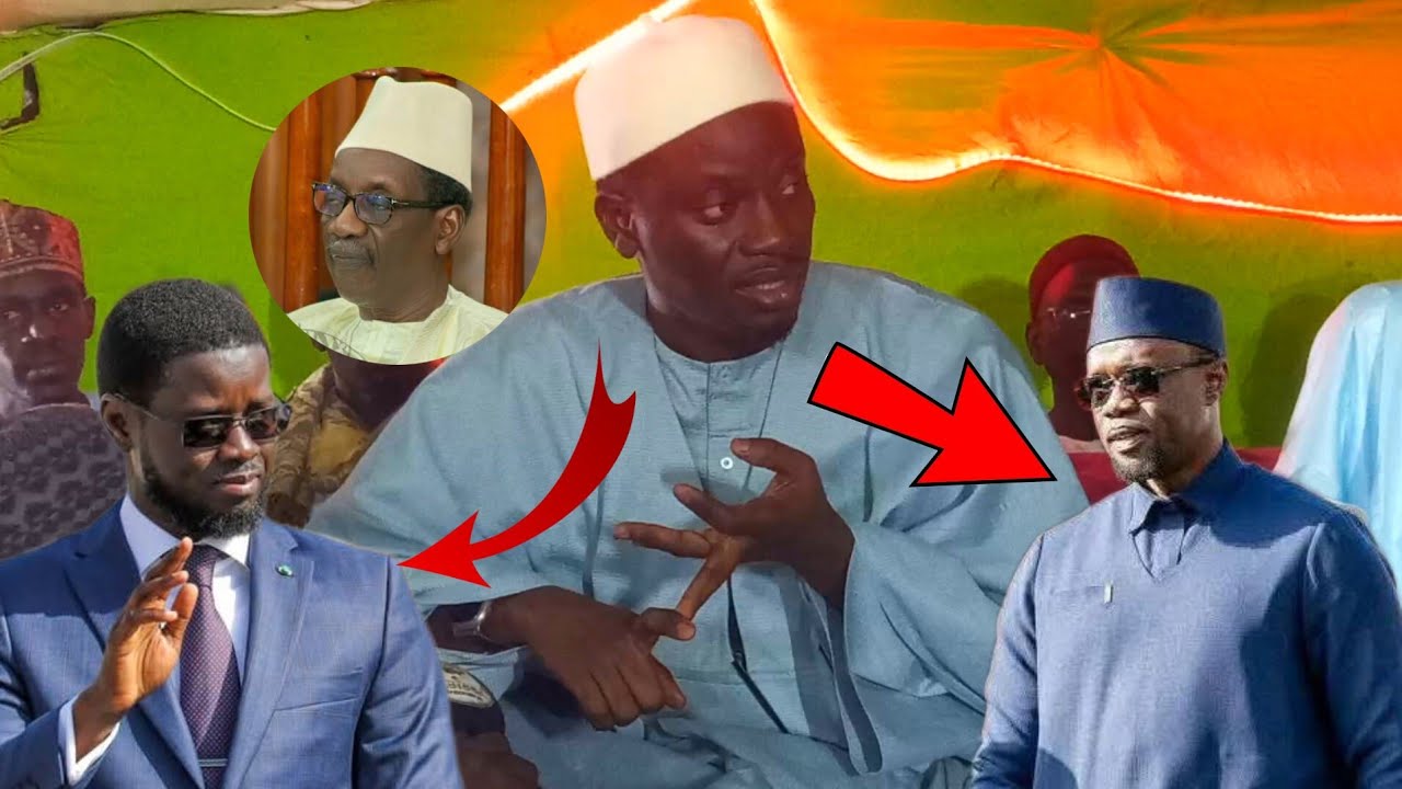ACTUALITÉS : LES SAGES CONSEILS DE SERIGNE PAPE ABDOU SY IBN SERIGNE MAODO SY DABAKH #diomaye #sonko