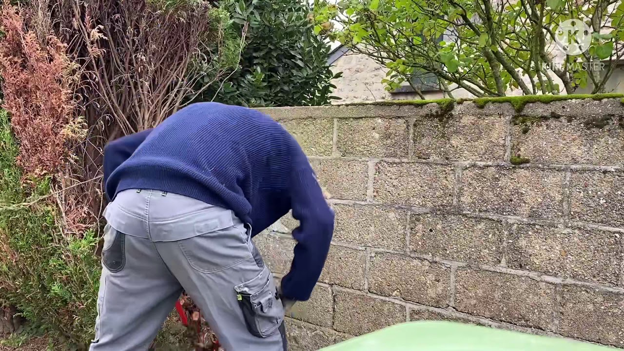 Abattage d’un thuyas. Stihl ms 194 T