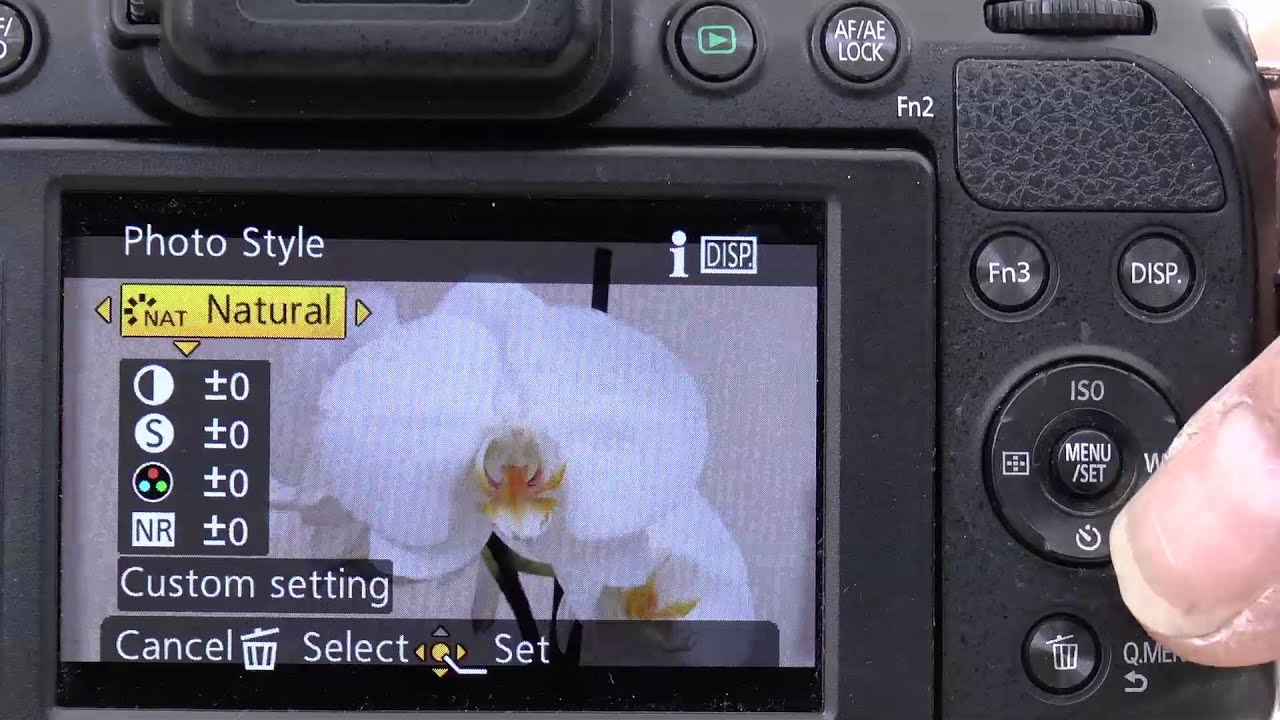 Panasonic Lumix FZ200 mini series- Getting Better Images Part 1 Bright Sunshine
