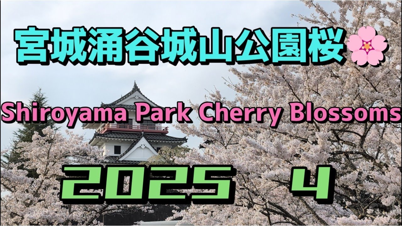 宮城 涌谷城跡 城山公園桜🌸#涌谷神社