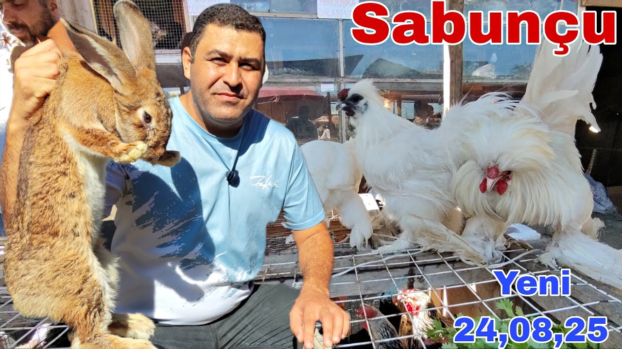 Sabunçu Toyuq Bazarı 24 avqust 2025 @mubarizemintv2271 