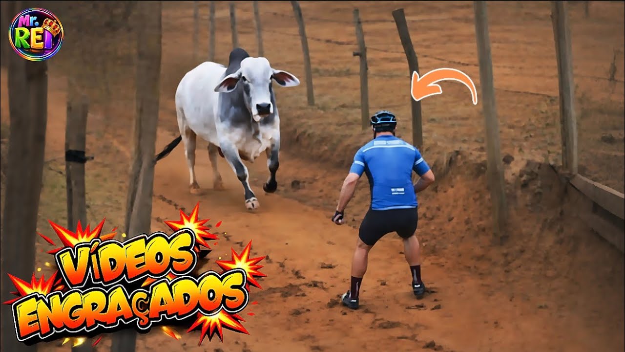 😱 NÃO ERA PRA RIR! Funny Videos 2026 😂 MEMES MÁS LOCOS da Internet (TENTE NÃO RIR)