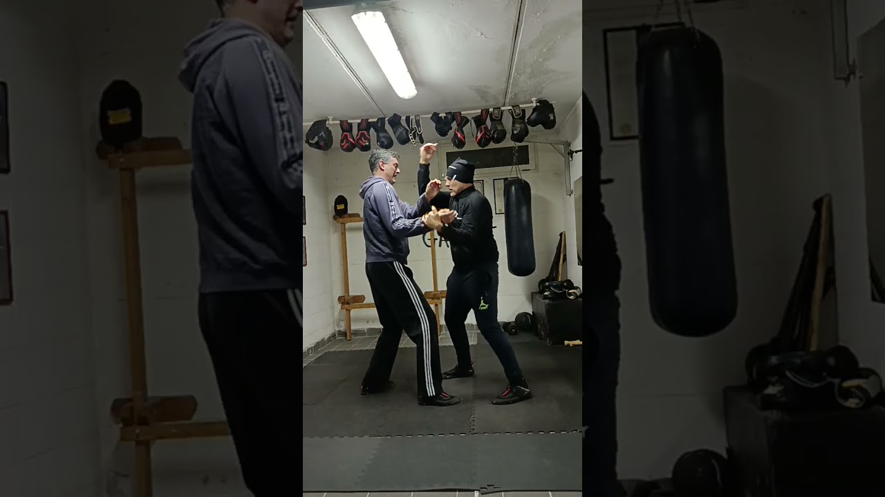 Una lezione al Wing fight garage: Chi sao/ struttura elastica e transfer alla distanza 