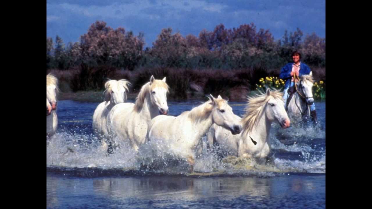 La Camargue