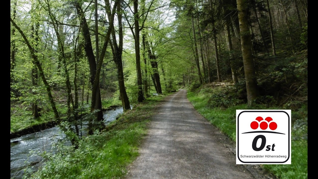 Der Schwarzwald H&ouml;henradweg Ost