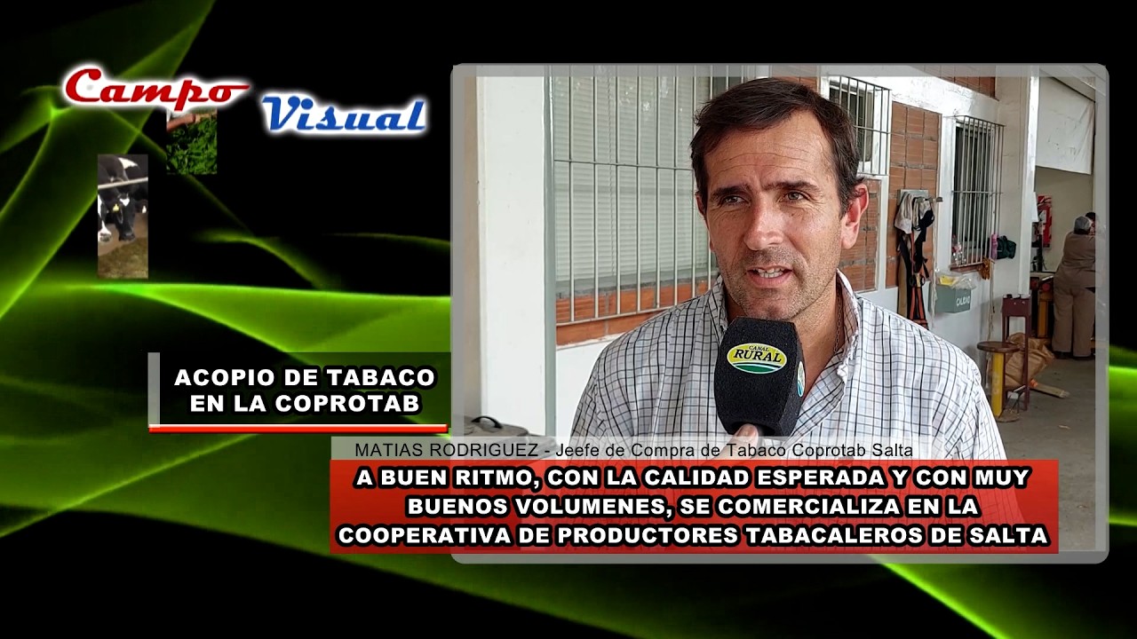 CAMPO VISUAL 11-02--2026