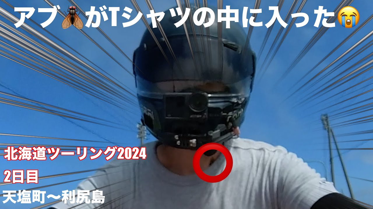 走行中アブ🪰がシャツに入って大パニック❗️