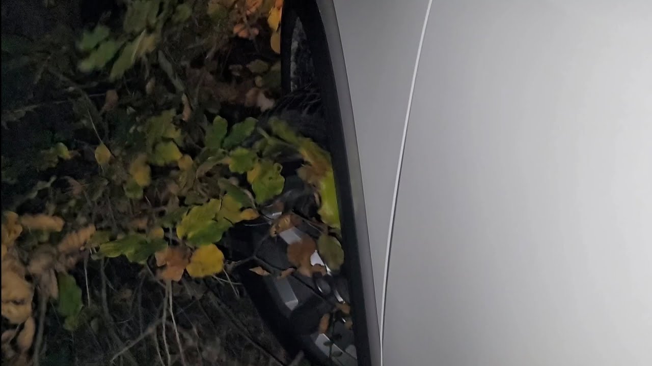 Crushing plants in the forest under my Audi SUV tire! Night scenery. Part 2! Exciting! 🤩
